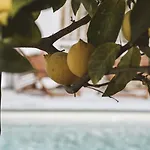 Le Sud 胡安莱潘