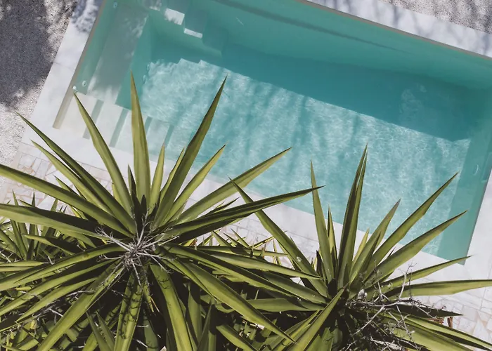 Le Sud Hotel Juan-les-Pins