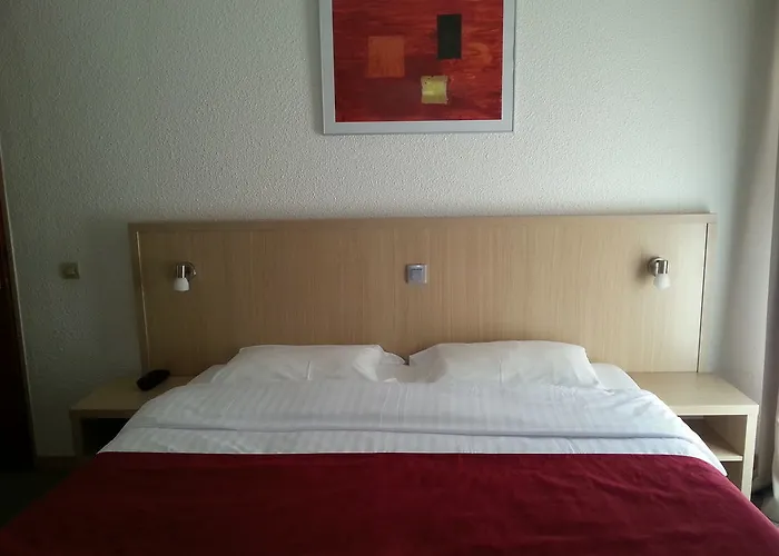 Le Sud Juan-les-Pins